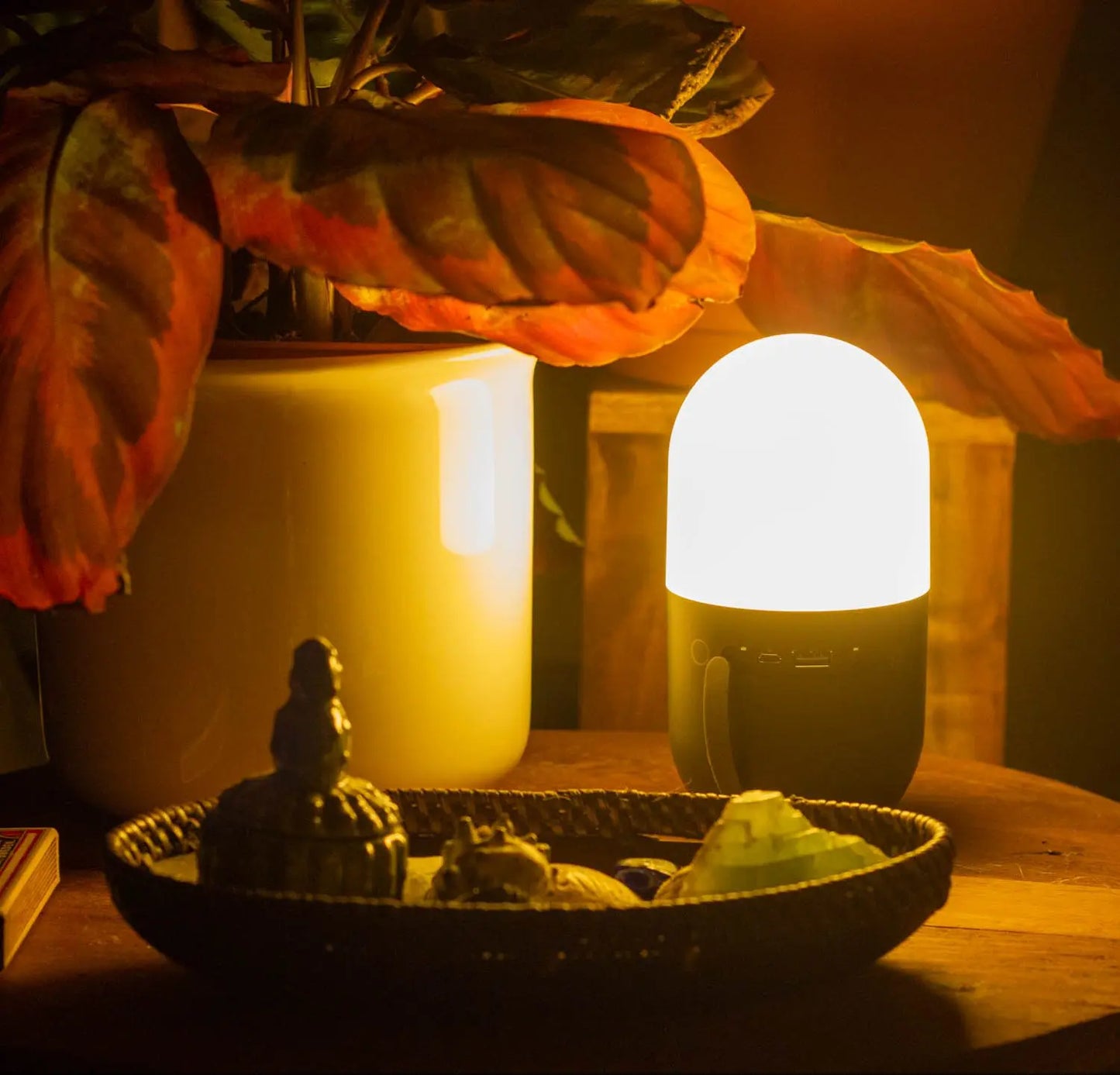 Lucis™ Wireless Lighting 3.0 Simple